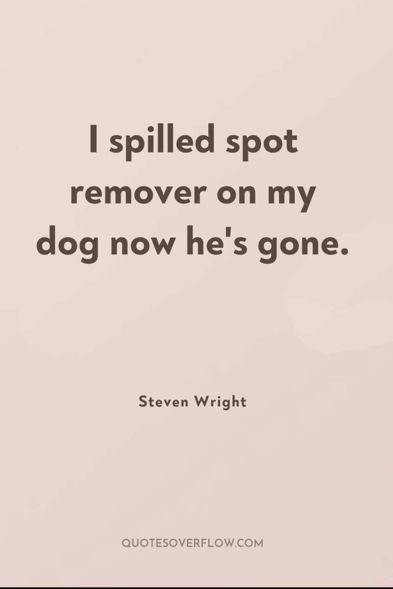 I spilled spot remover on my dog now he's gone. 