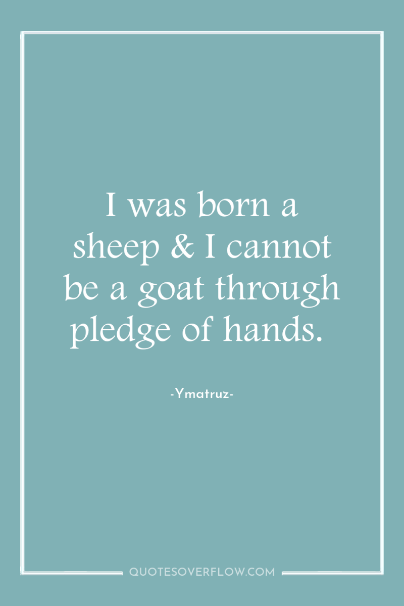 I was born a sheep & I cannot be a...