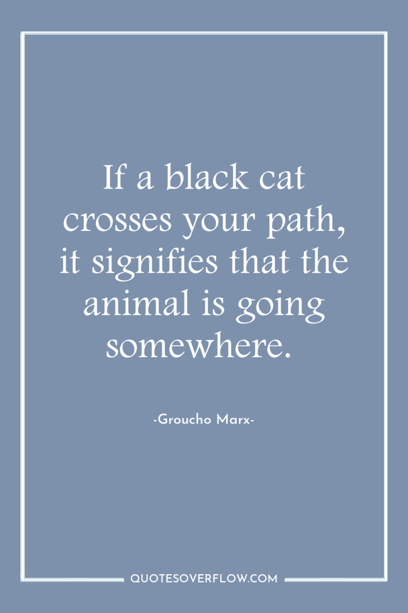 If a black cat crosses your path, it signifies that...