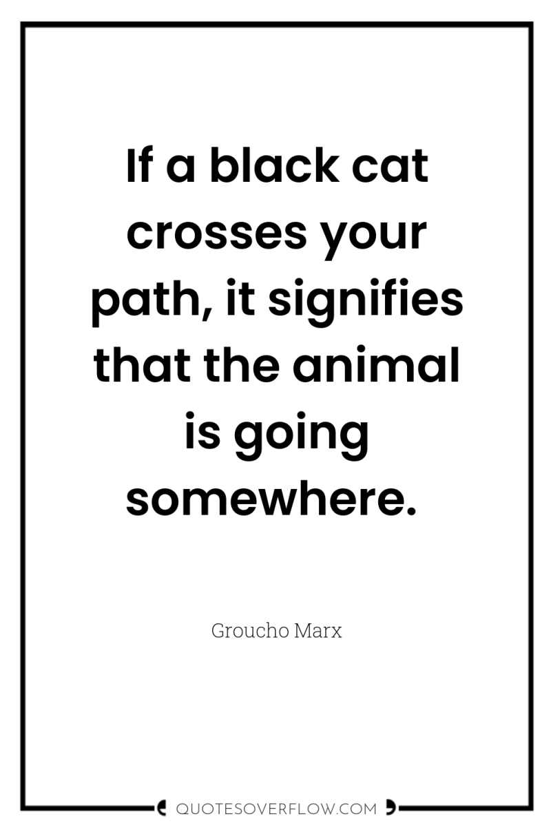 If a black cat crosses your path, it signifies that...