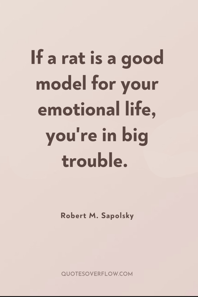 If a rat is a good model for your emotional...