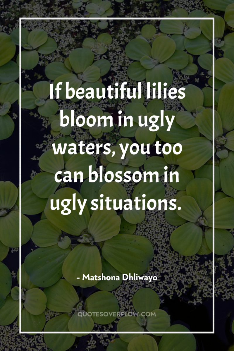 If beautiful lilies bloom in ugly waters, you too can...
