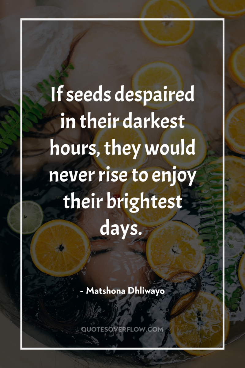 If seeds despaired in their darkest hours, they would never...