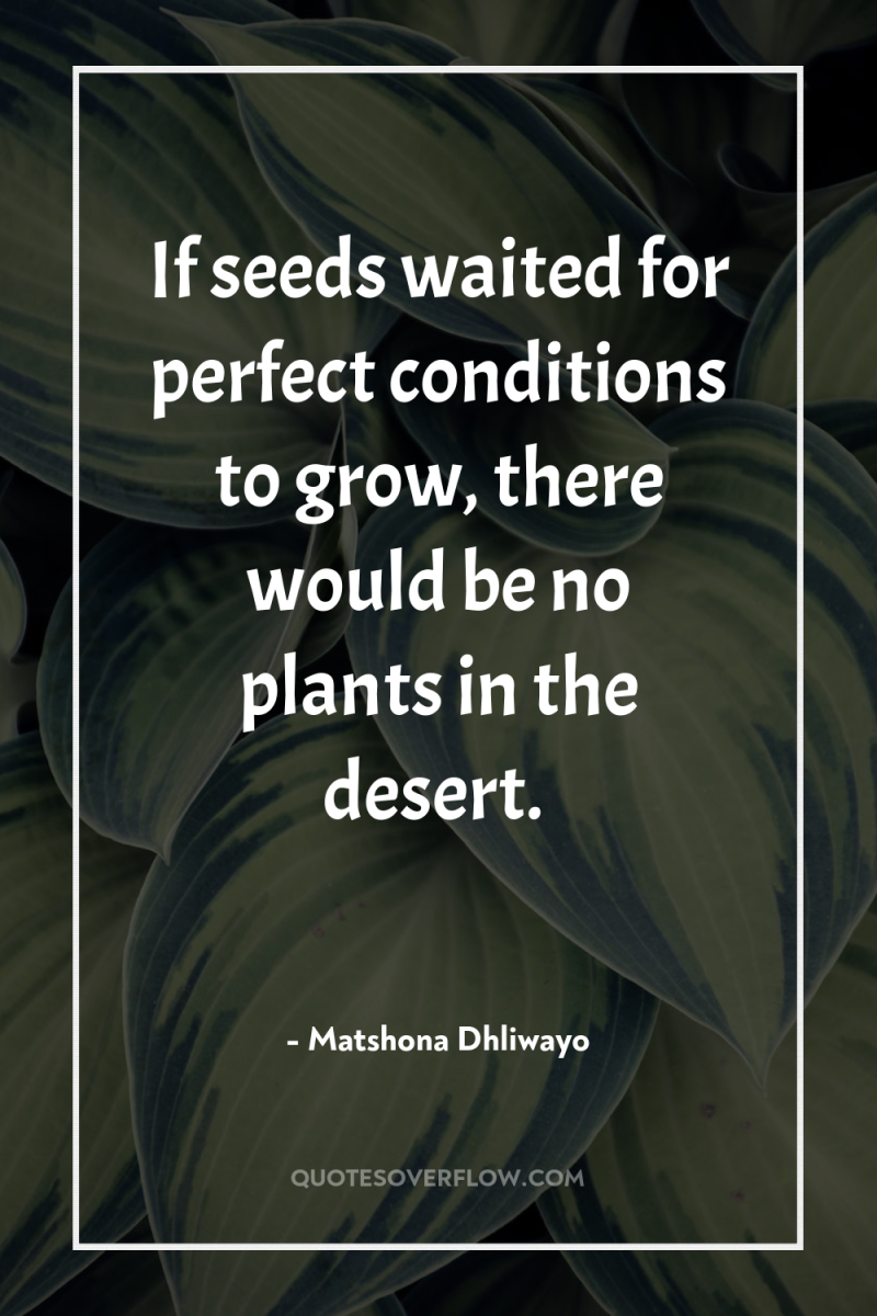 If seeds waited for perfect conditions to grow, there would...