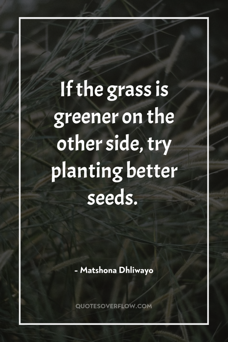If the grass is greener on the other side, try...