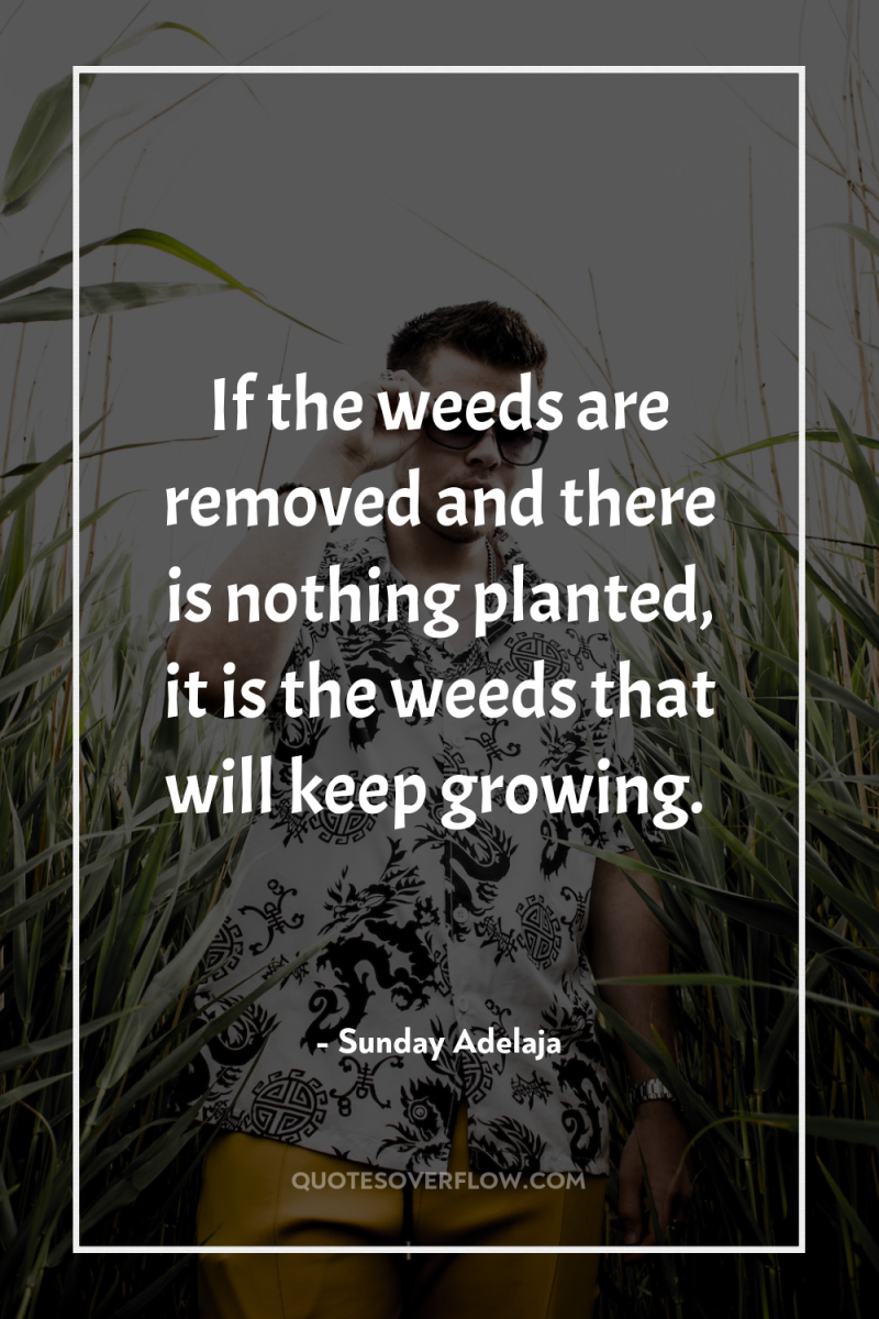 If the weeds are removed and there is nothing planted,...
