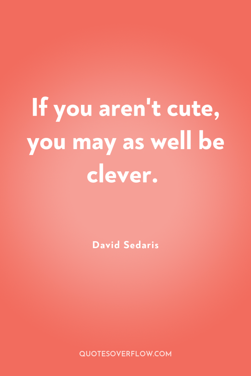 If you aren't cute, you may as well be clever. 