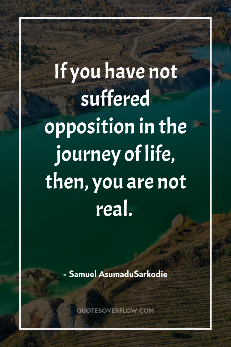 If you have not suffered opposition in the journey of...
