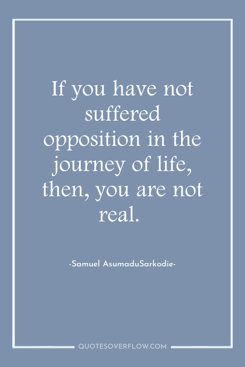 If you have not suffered opposition in the journey of...