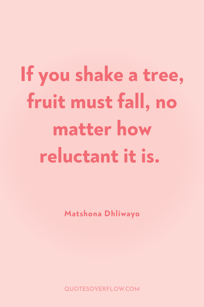 If you shake a tree, fruit must fall, no matter...