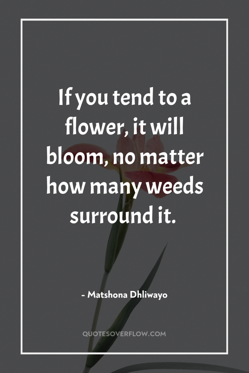 If you tend to a flower, it will bloom, no...