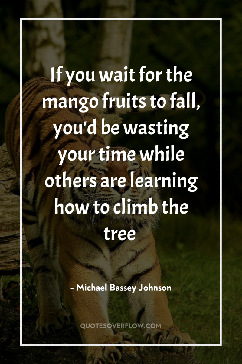 If you wait for the mango fruits to fall, you'd...
