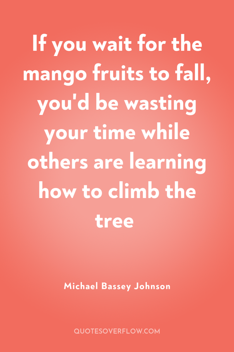 If you wait for the mango fruits to fall, you'd...