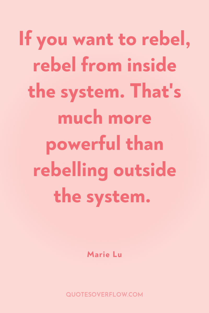 If you want to rebel, rebel from inside the system....