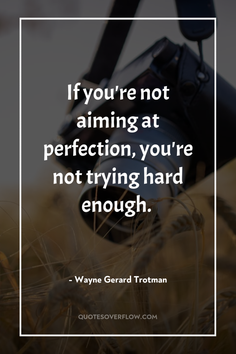 If you're not aiming at perfection, you're not trying hard...
