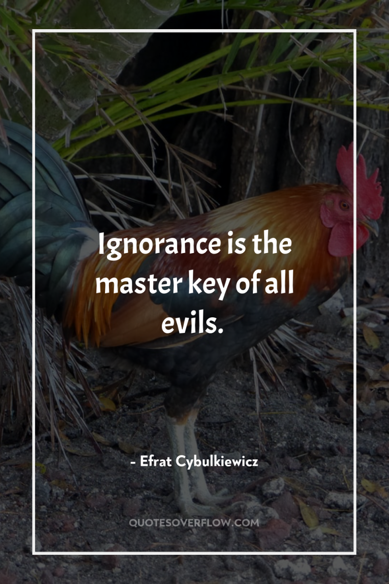 Ignorance is the master key of all evils. 