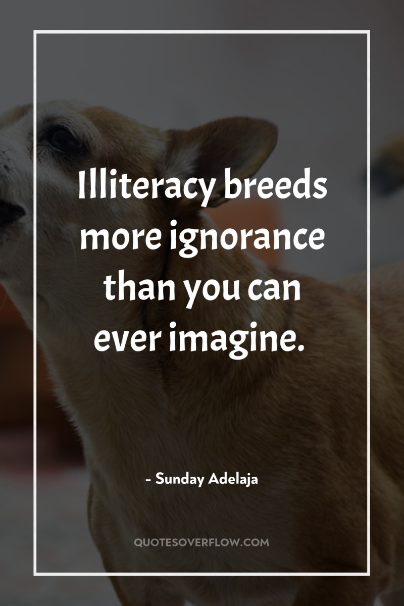 Illiteracy breeds more ignorance than you can ever imagine. 