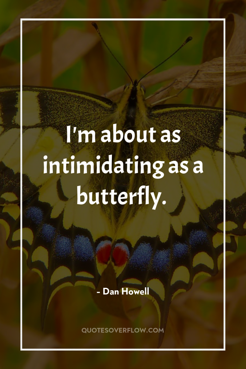 I'm about as intimidating as a butterfly. 
