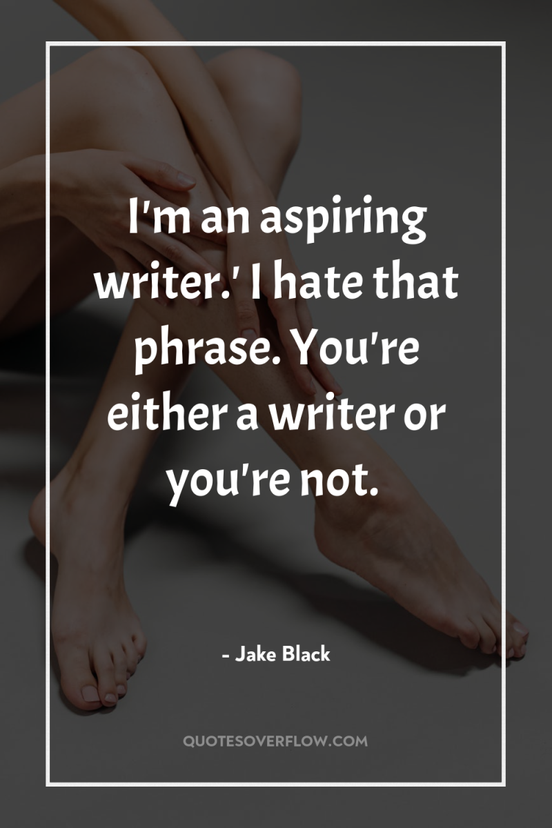 I'm an aspiring writer.' I hate that phrase. You're either...