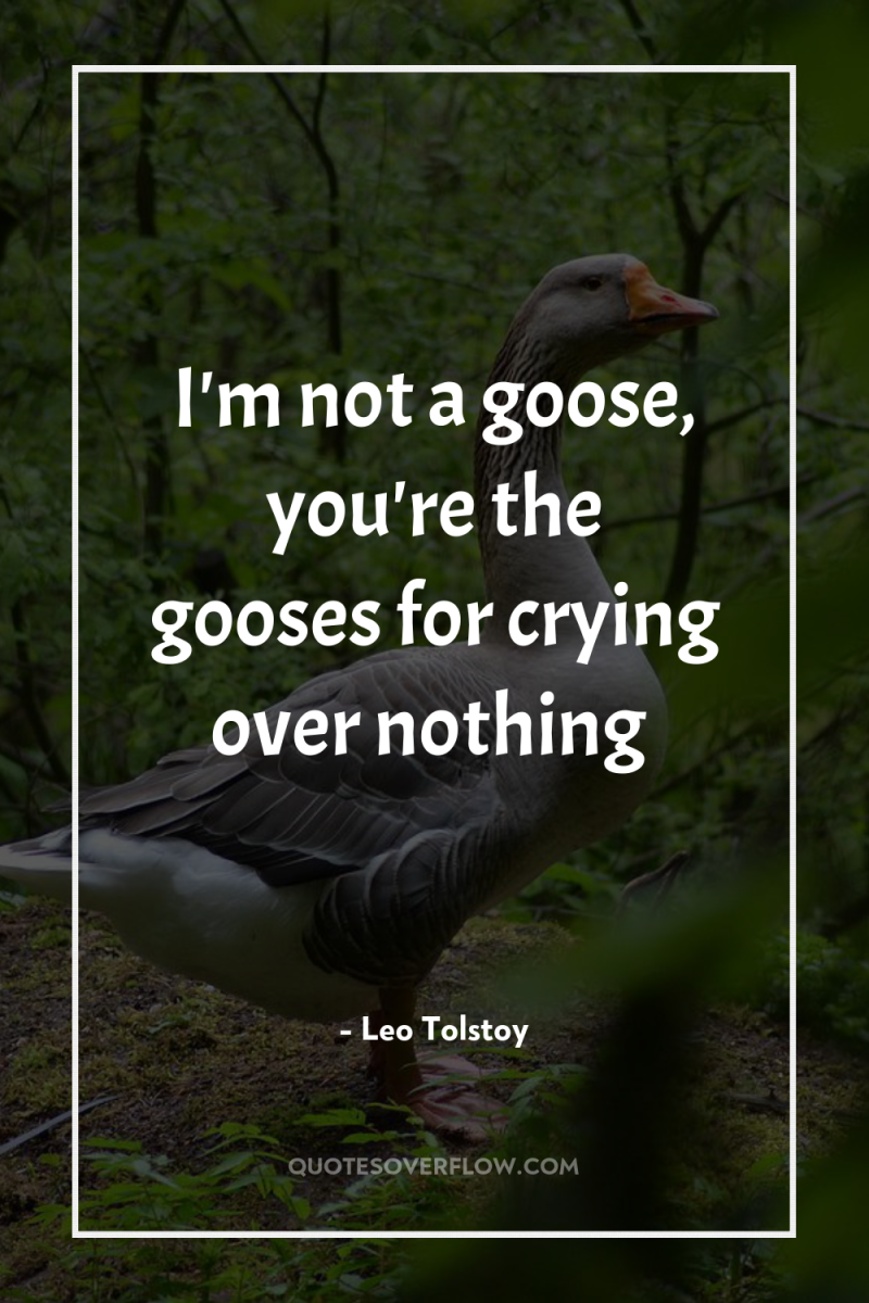 I'm not a goose, you're the gooses for crying over...