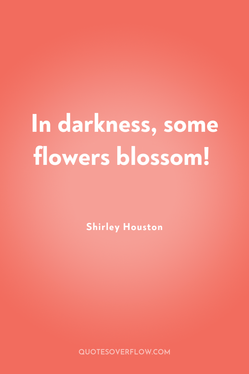 In darkness, some flowers blossom! 