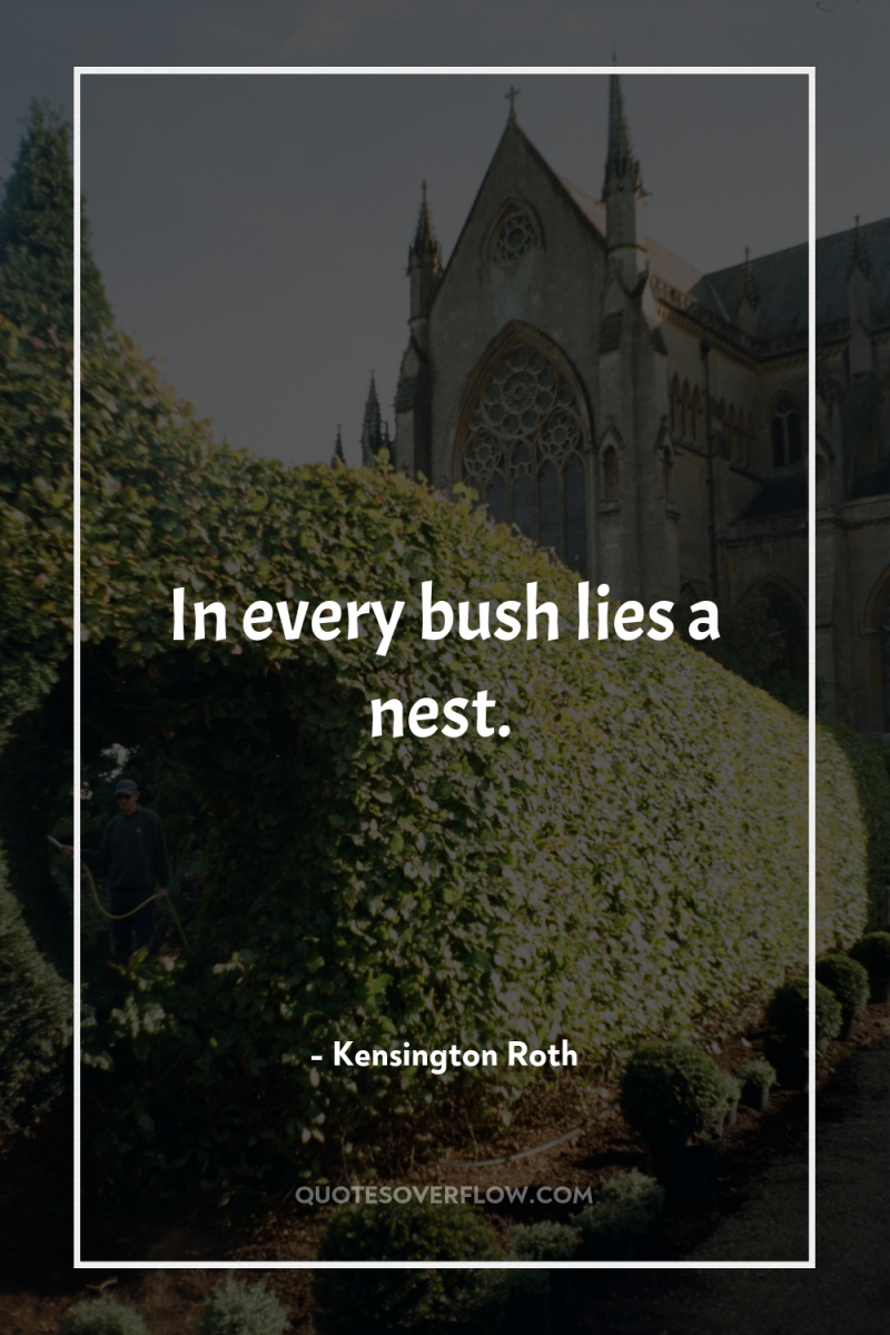 In every bush lies a nest. 