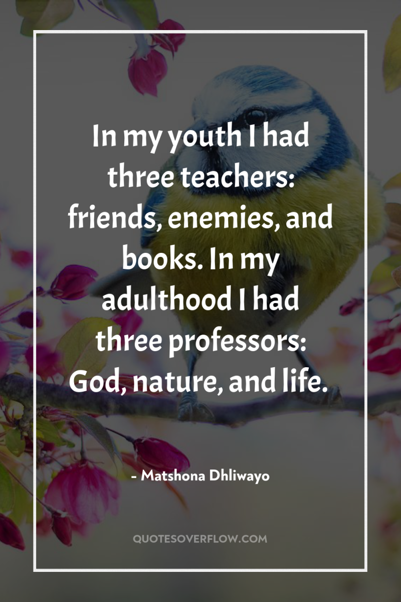In my youth I had three teachers: friends, enemies, and...