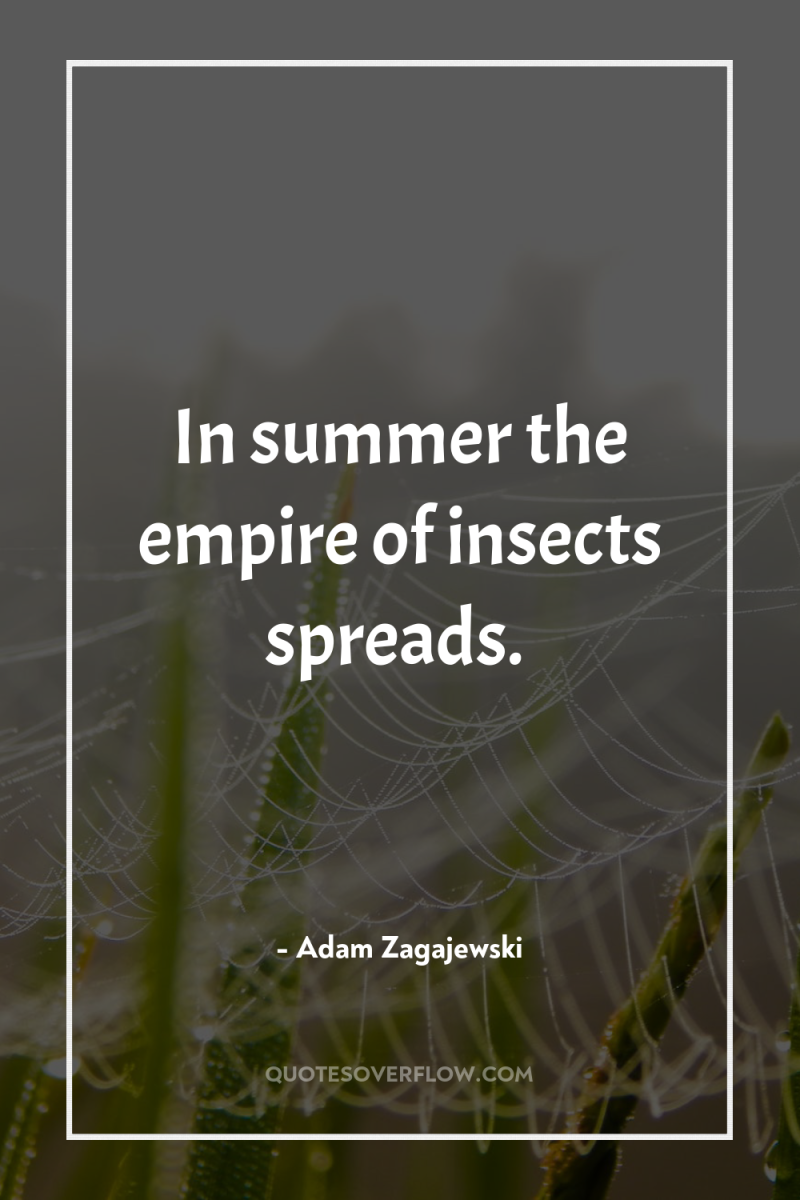 In summer the empire of insects spreads. 