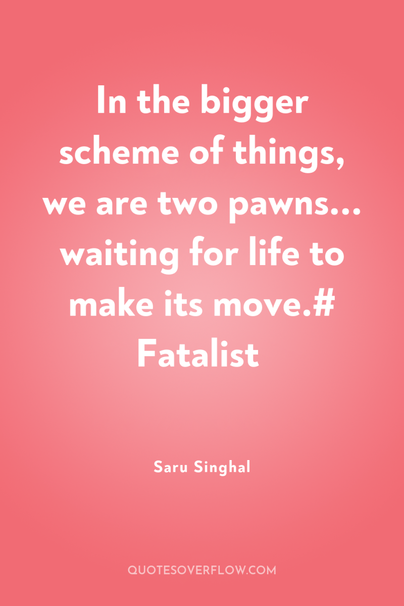 In the bigger scheme of things, we are two pawns......