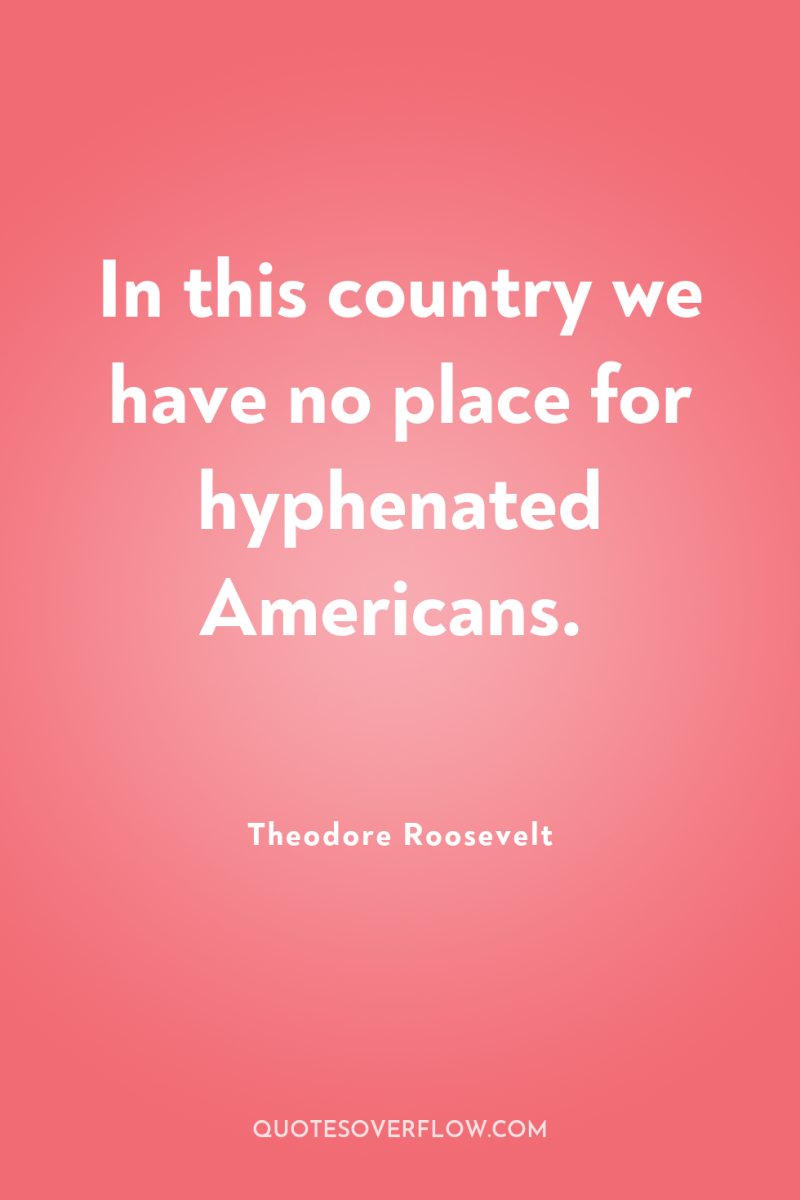 In this country we have no place for hyphenated Americans. 