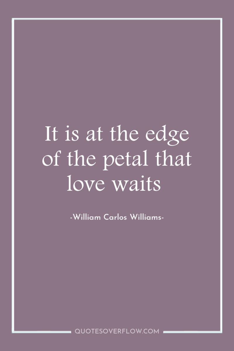It is at the edge of the petal that love...