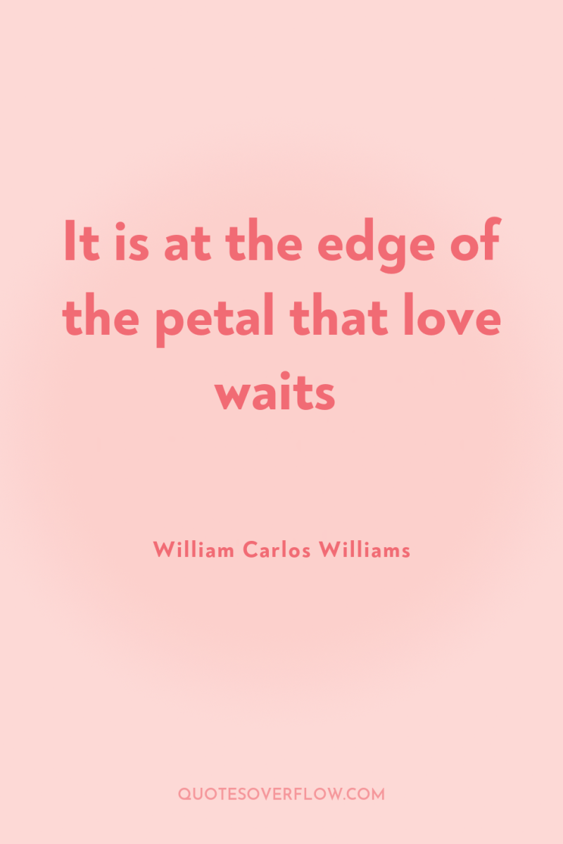 It is at the edge of the petal that love...