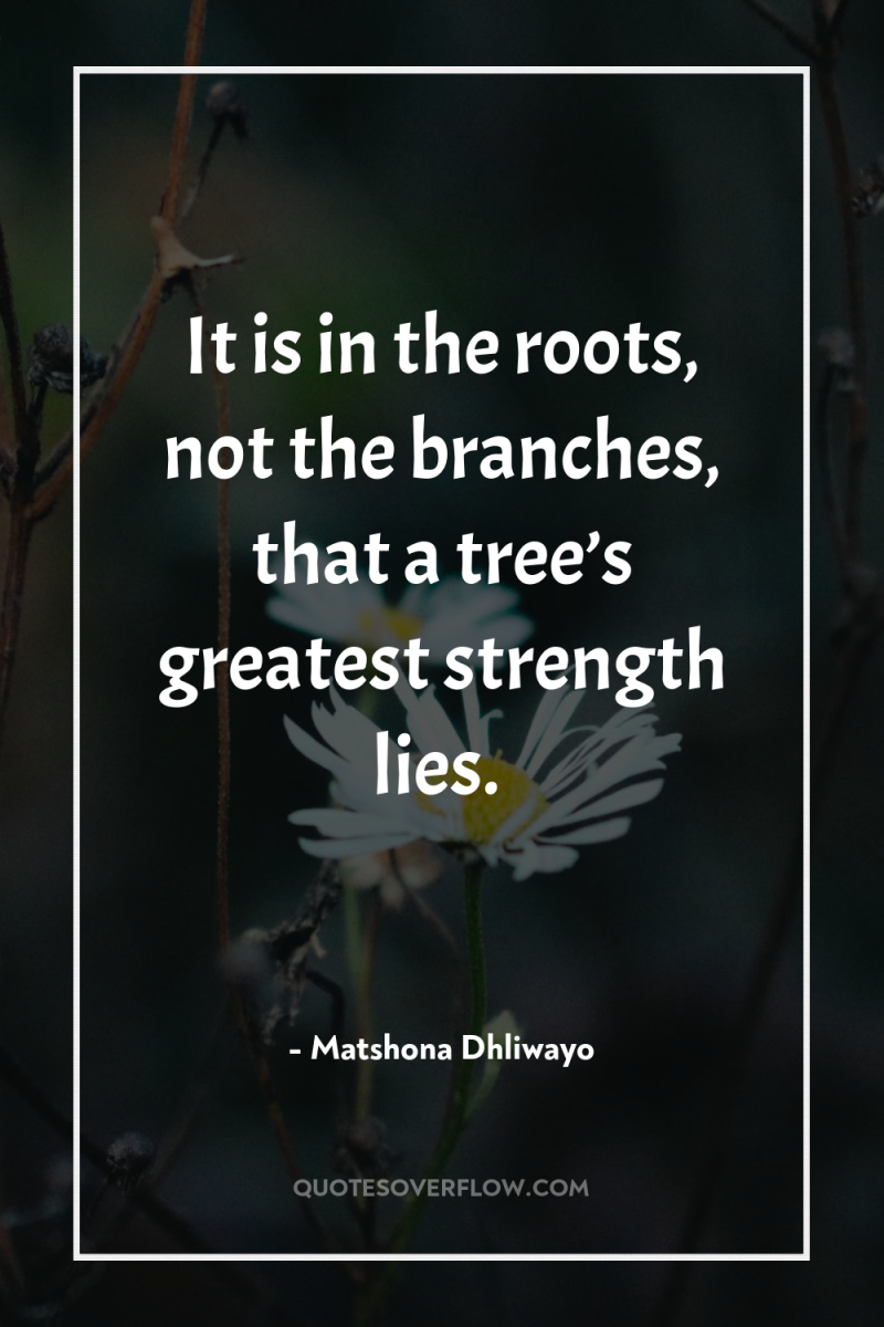 It is in the roots, not the branches, that a...