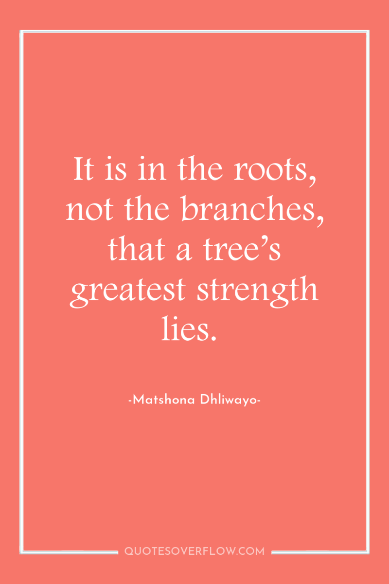 It is in the roots, not the branches, that a...