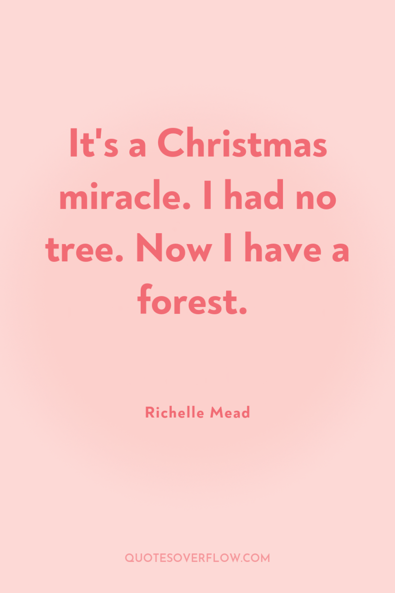 It's a Christmas miracle. I had no tree. Now I...