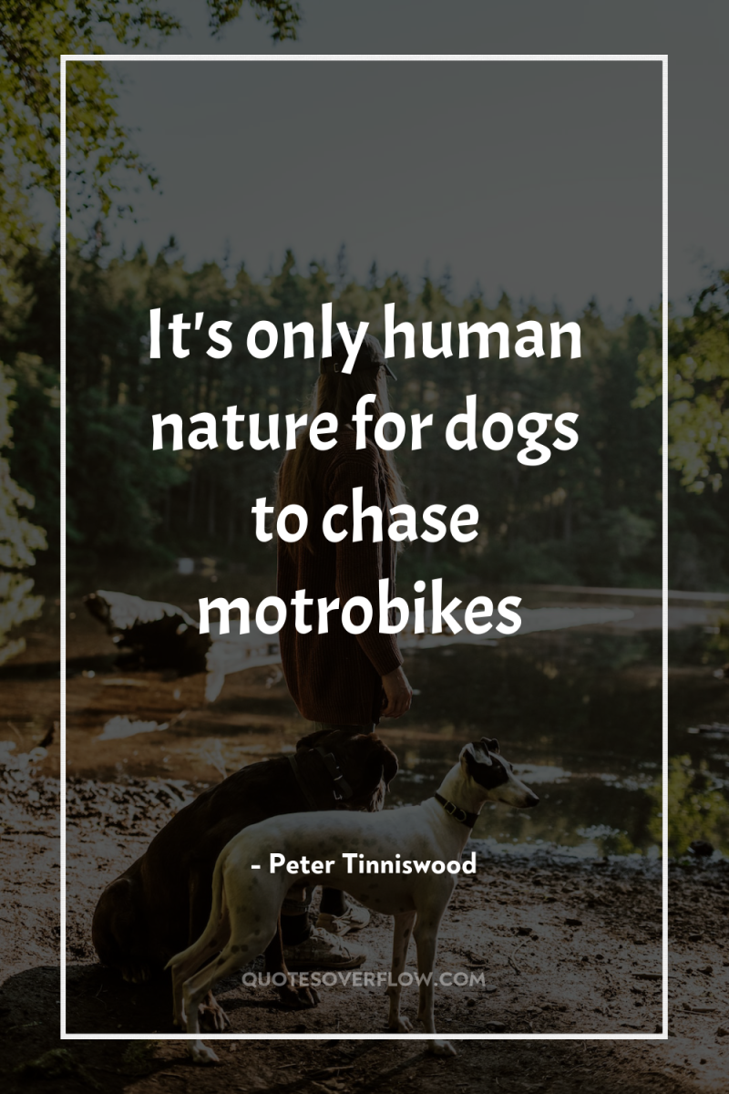 It's only human nature for dogs to chase motrobikes 