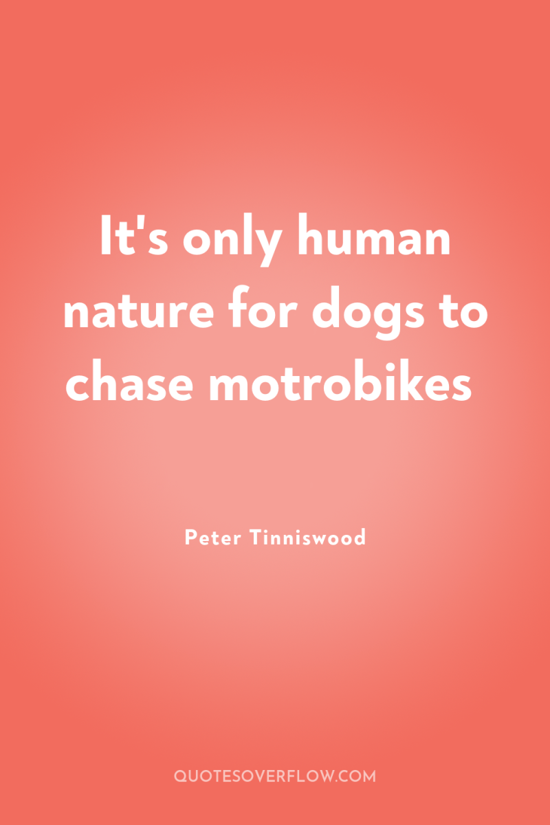 It's only human nature for dogs to chase motrobikes 