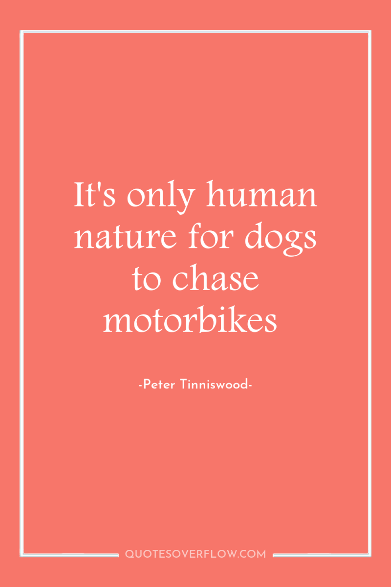 It's only human nature for dogs to chase motorbikes 