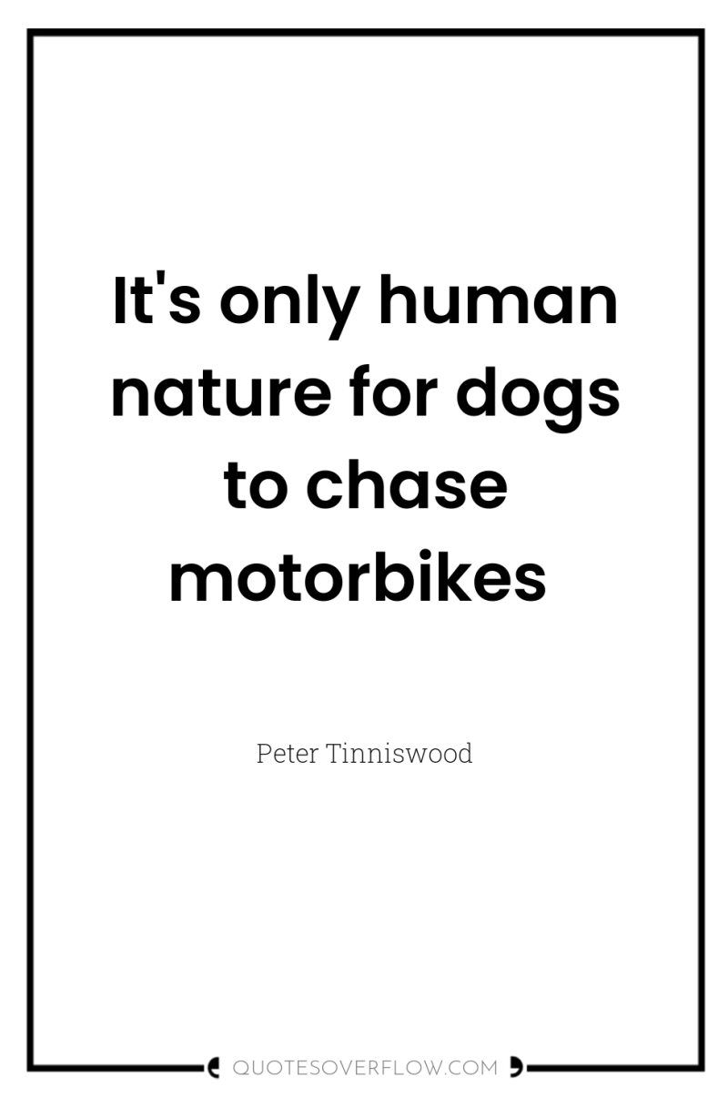 It's only human nature for dogs to chase motorbikes 
