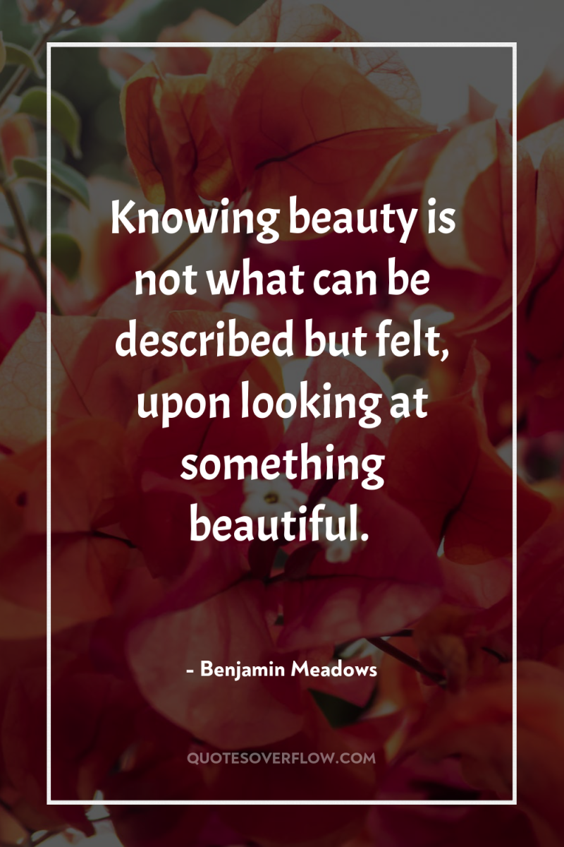 Knowing beauty is not what can be described but felt,...
