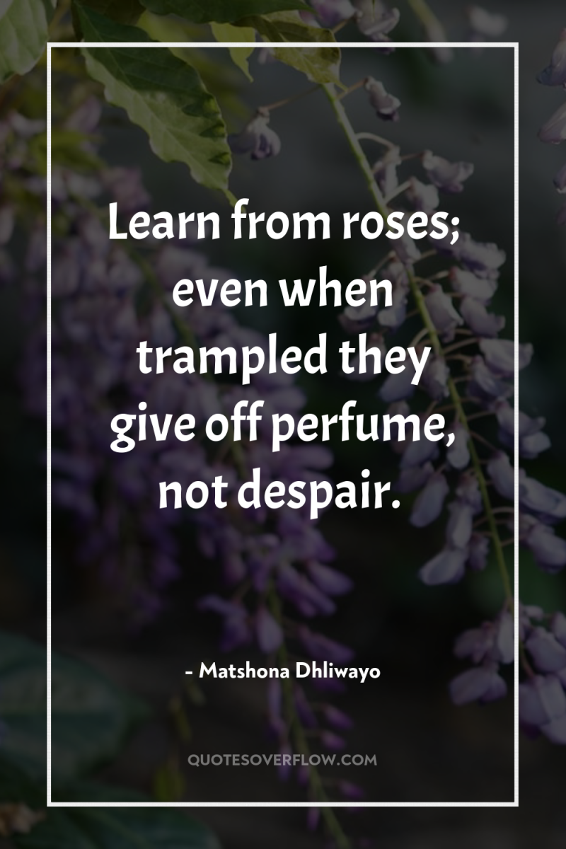 Learn from roses; even when trampled they give off perfume,...