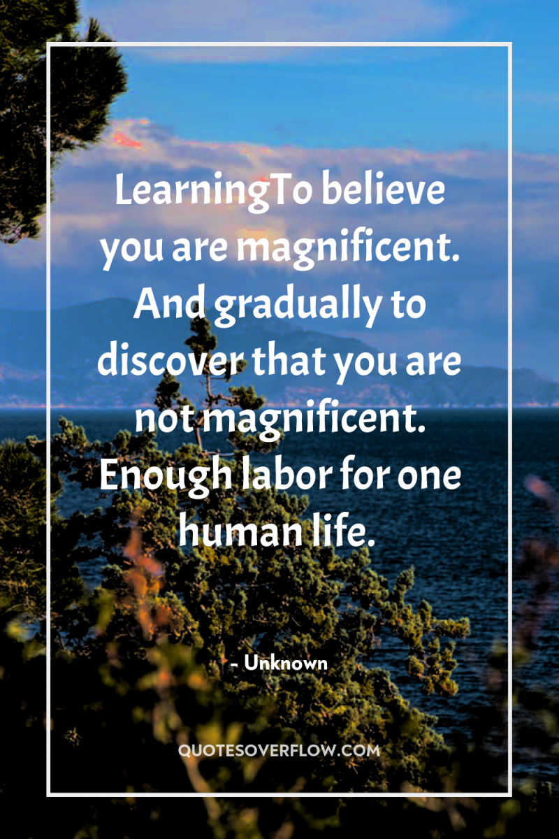 LearningTo believe you are magnificent. And gradually to discover that...