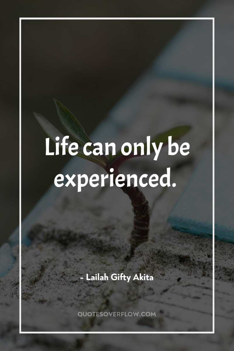 Life can only be experienced. 