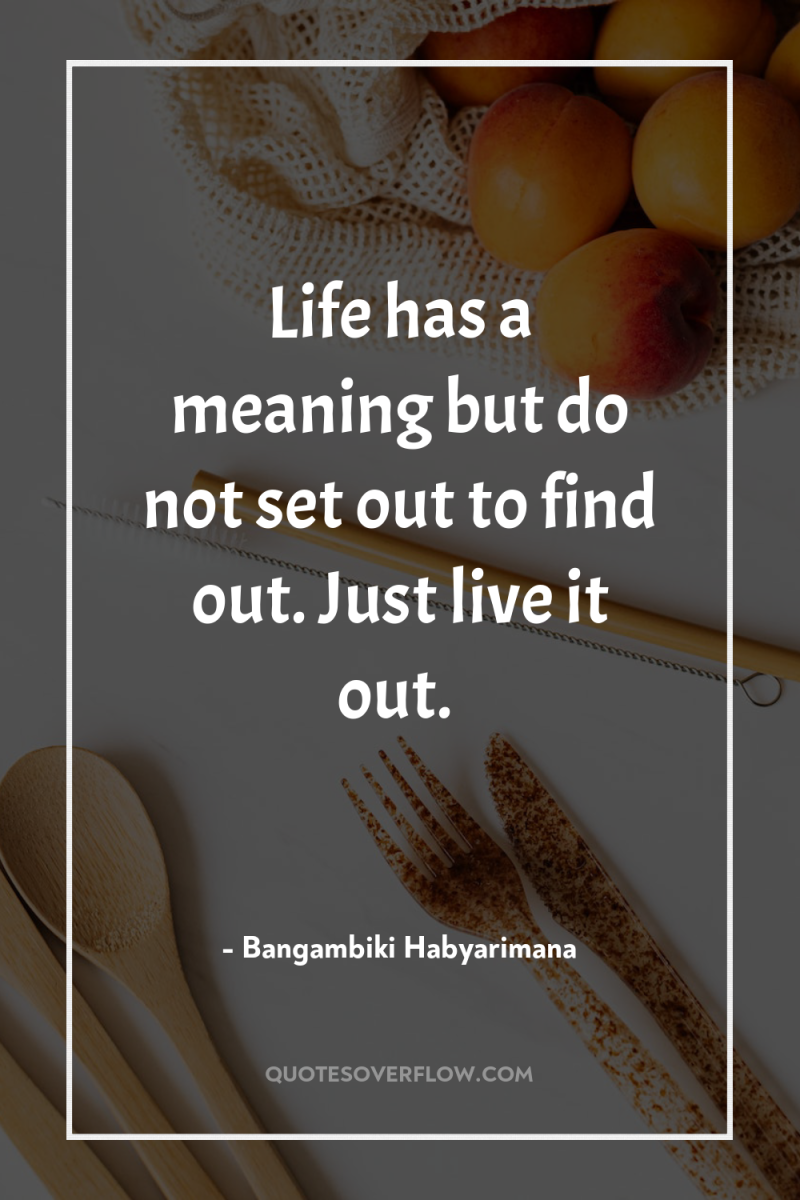 Life has a meaning but do not set out to...