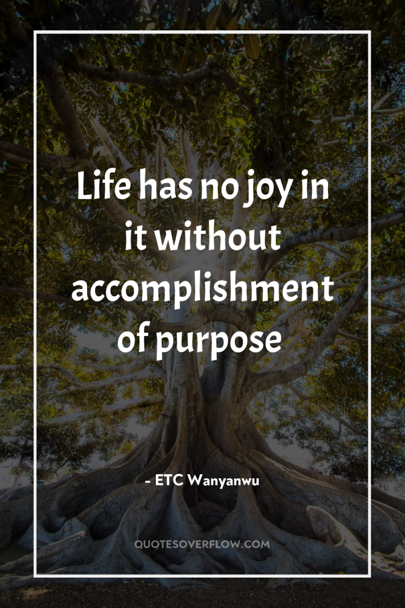 Life has no joy in it without accomplishment of purpose 