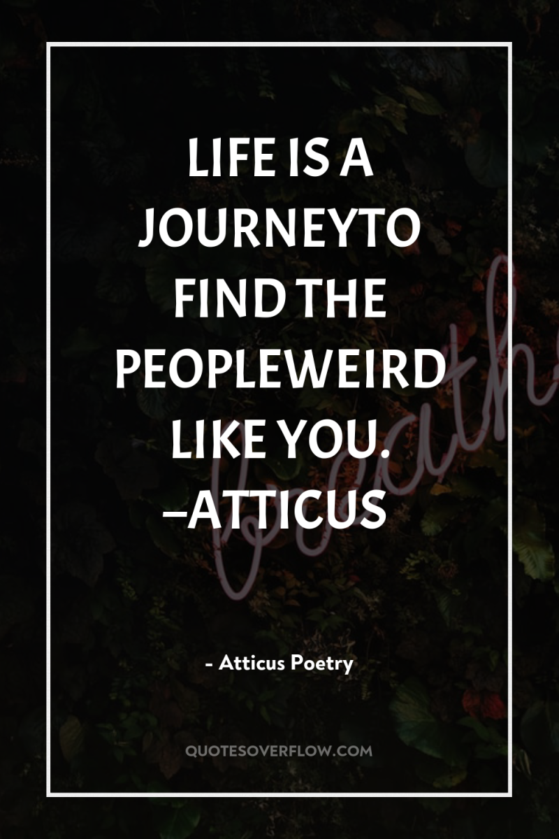 LIFE IS A JOURNEYTO FIND THE PEOPLEWEIRD LIKE YOU. –ATTICUS 