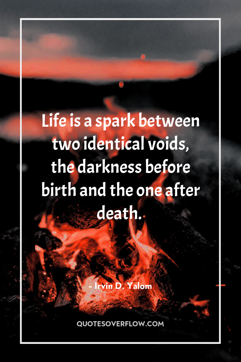 Life is a spark between two identical voids, the darkness...