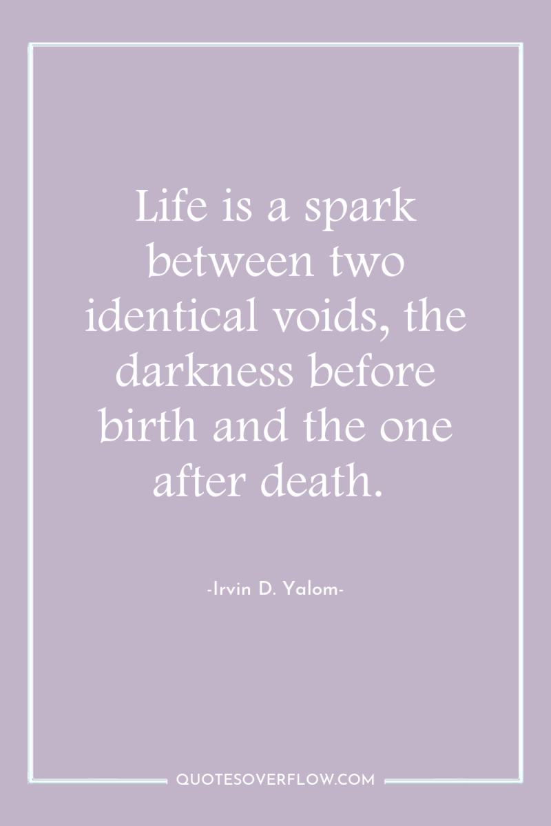 Life is a spark between two identical voids, the darkness...