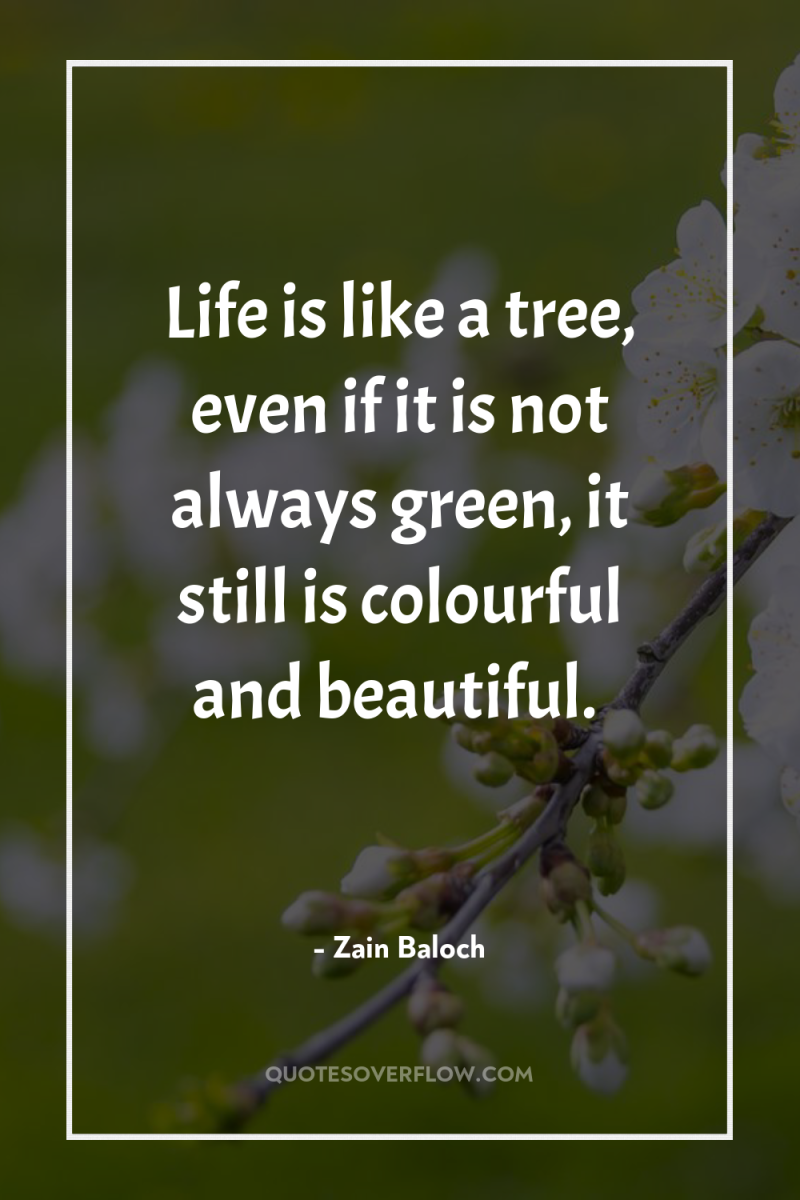 Life is like a tree, even if it is not...