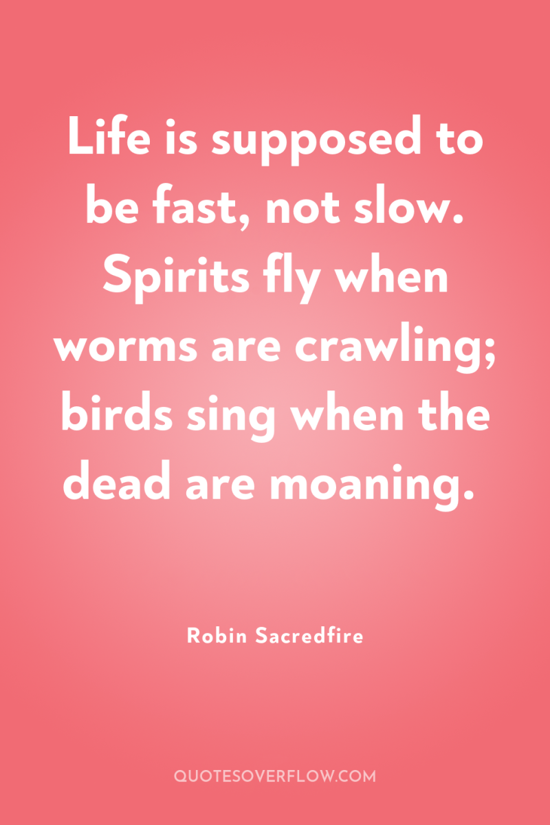 Life is supposed to be fast, not slow. Spirits fly...